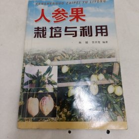 人参果栽培与利用