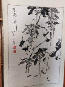 花鸟精品