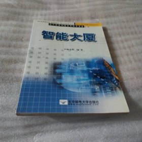 智能大厦E138--32开9品，02年1版1印