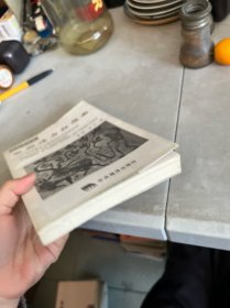 田园诗与狂想曲：关中模式与前近代社会的再认识