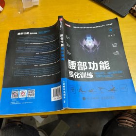 腰部功能强化训练 预防损伤 缓解慢性疼痛与提升运动表现