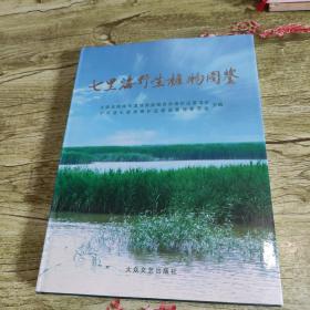 七里海野生植物图鉴（精装）