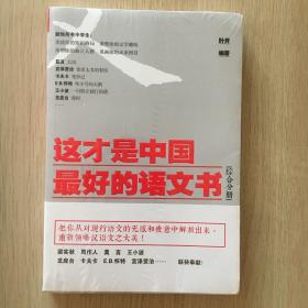 这才是中国最好的语文书：综合分册