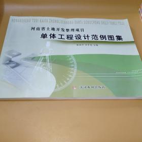 河南省土地开发整理项目单体工程设计范例图集