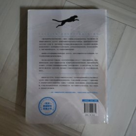 筋膜力量训练：精准提升力量的肌肉与筋膜训练方案