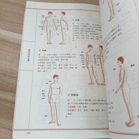 黄帝内经全集(全译图解版)