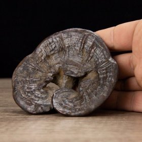 灵芝摆件，品相如图。 尺寸：长9.5宽9高2.2厘米 重约0.27KG