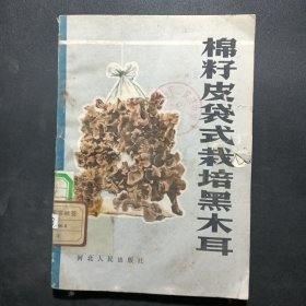 棉籽皮袋式栽培黑木耳