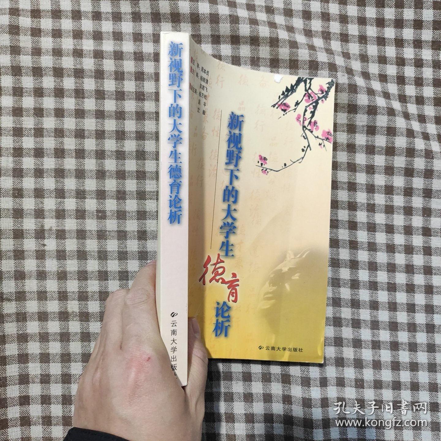 新视野下的大学生德育论析
