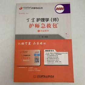 主管护师2020丁震2020护理学（师）护师急救包（套装共2册）