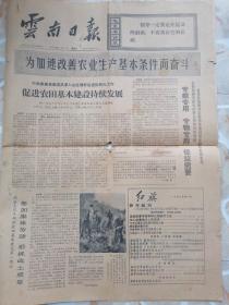 云南日报1973年1月6日