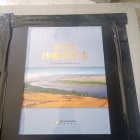 中卫市沙坡头区志