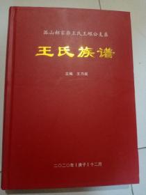 王氏族谱(孤山郝家峁王氏王岖公支系)