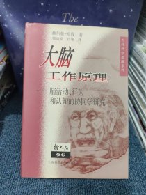 大脑工作原理：脑活动、行为和认知的协同学研究