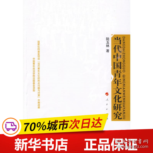 保正版！当代中国青年文化研究9787010080055人民出版社陆玉林