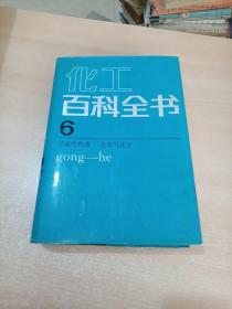 化工百科全书【第6卷】 功能性色素：合成气化学