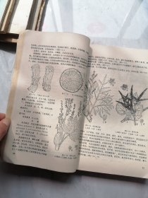 中草药学（供药剂士专业用）