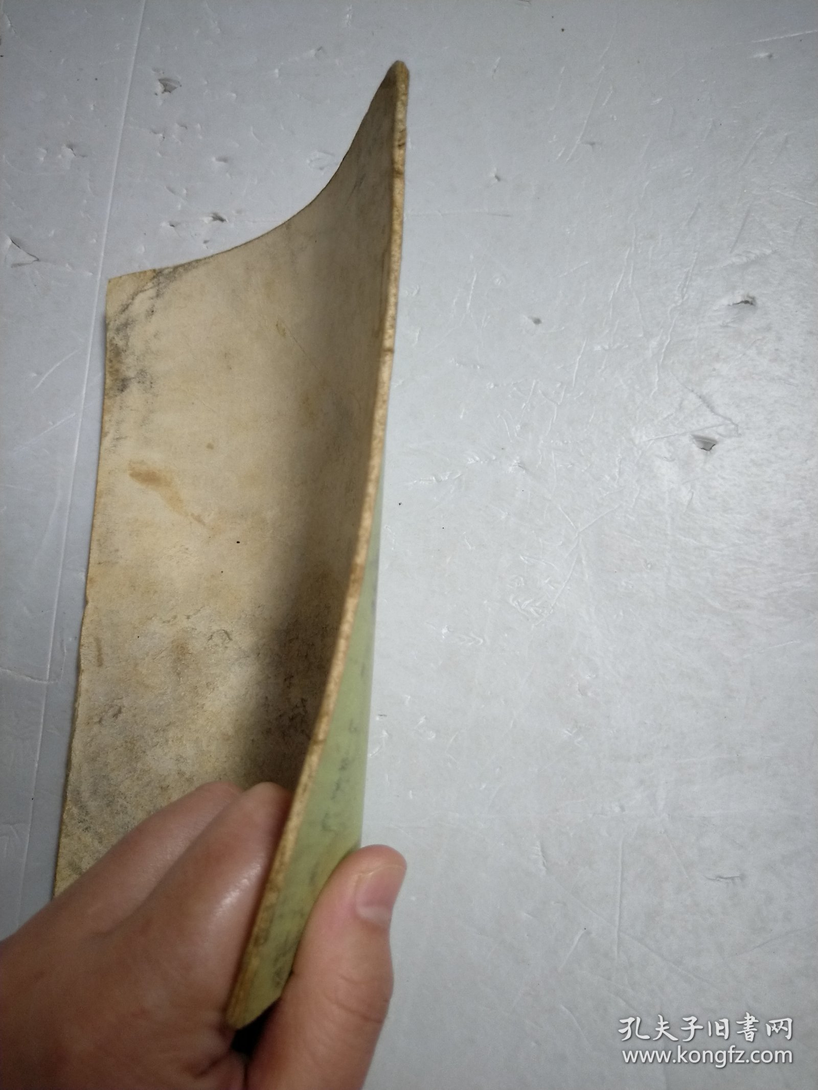 古生物地层学资料的收集与加工方法