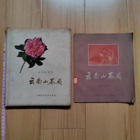 云南山茶花   精平装共两本  1959年1版1印  印量1200册