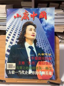 小康中国（大漠作证 方毅-当代企业界的巾帼英雄）