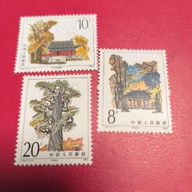 T84黄帝陵邮票，原胶全品，单套三枚全套，看图下单。