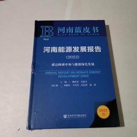 河南蓝皮书：河南能源发展报告（2022）