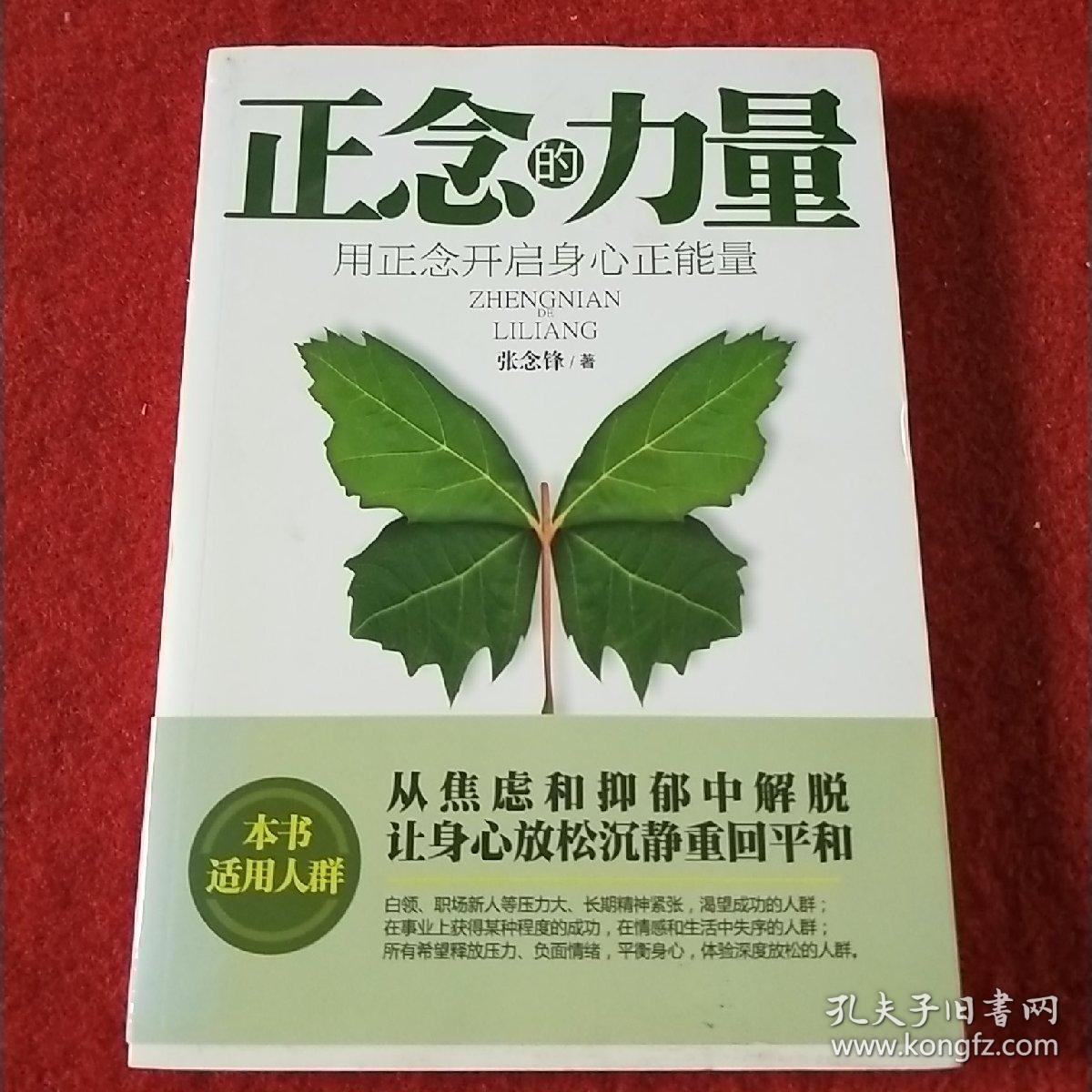 正念的力量：用正念开启身心正能量，拍照为准。