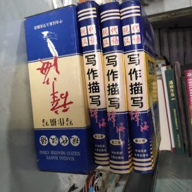 现代汉语写作描写辞海 全三册
