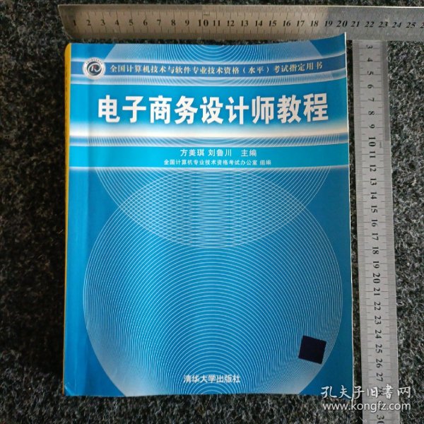 全国计算机技术与软件专业技术资格水平考试指定用书：电子商务设计师教程