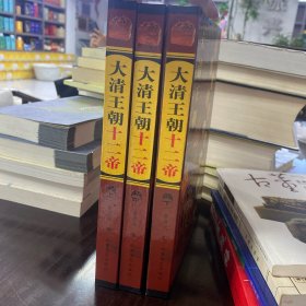 大清王朝十二帝:三百年王朝兴衰实录