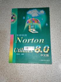 怎样学用Norton Utilities 8.0中文版