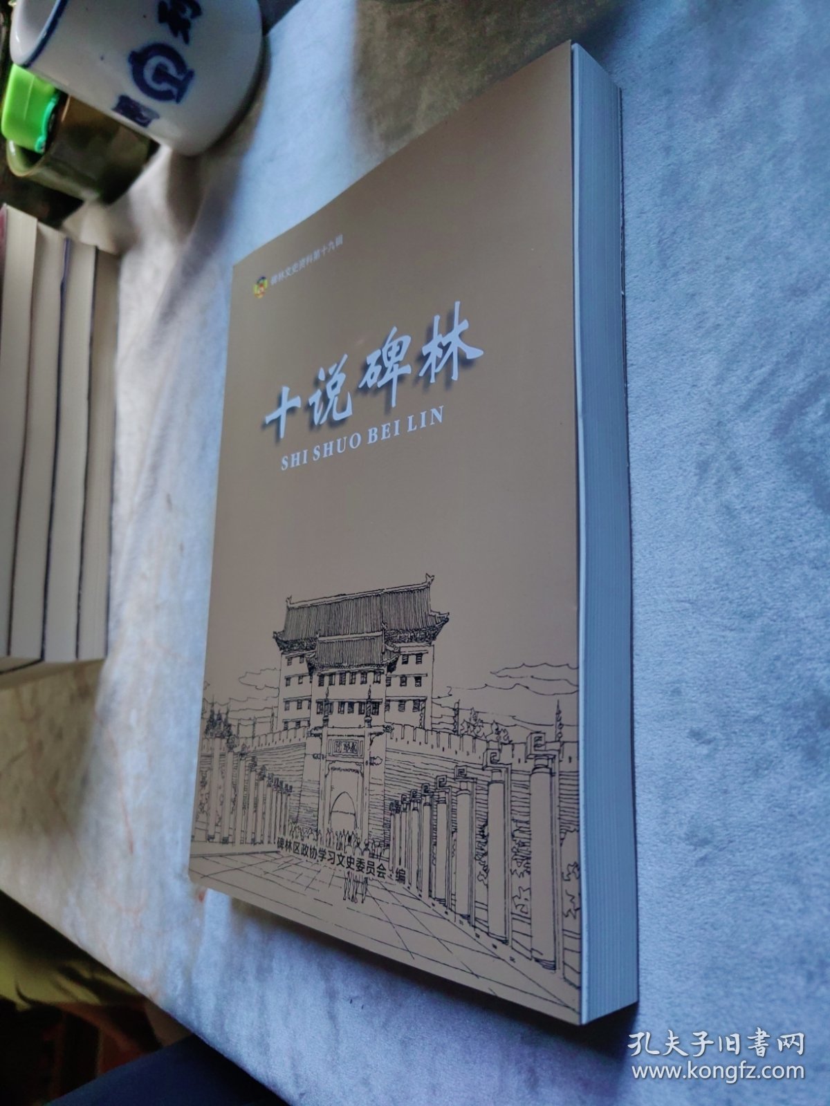 包邮 十说碑林（碑林文史资料第十九辑）