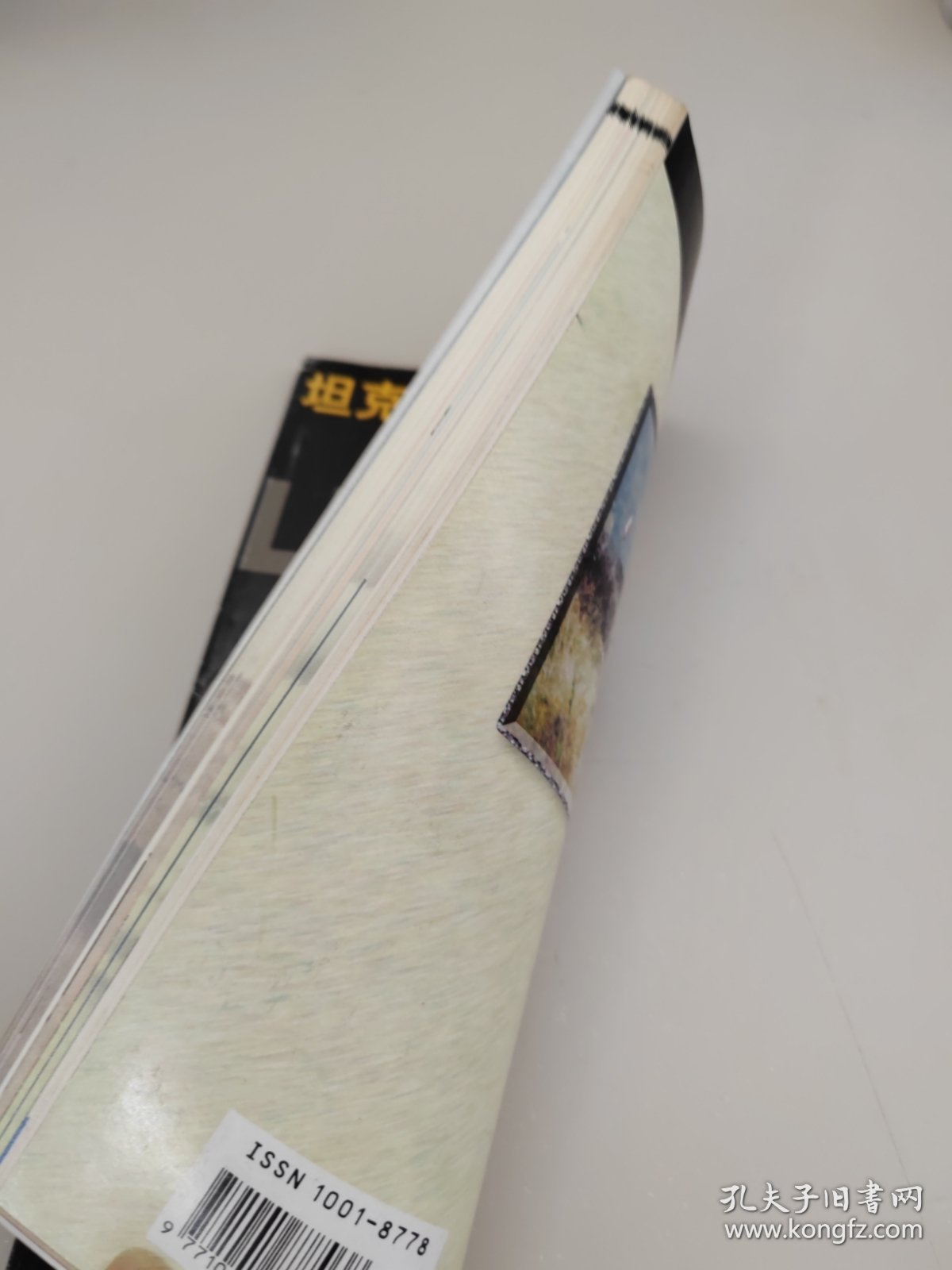 坦克装甲车辆增刊 永远的豹