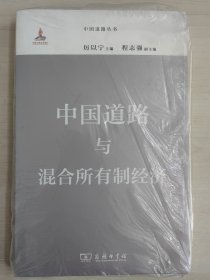中国道路丛书：中国道路与混合所有制经济