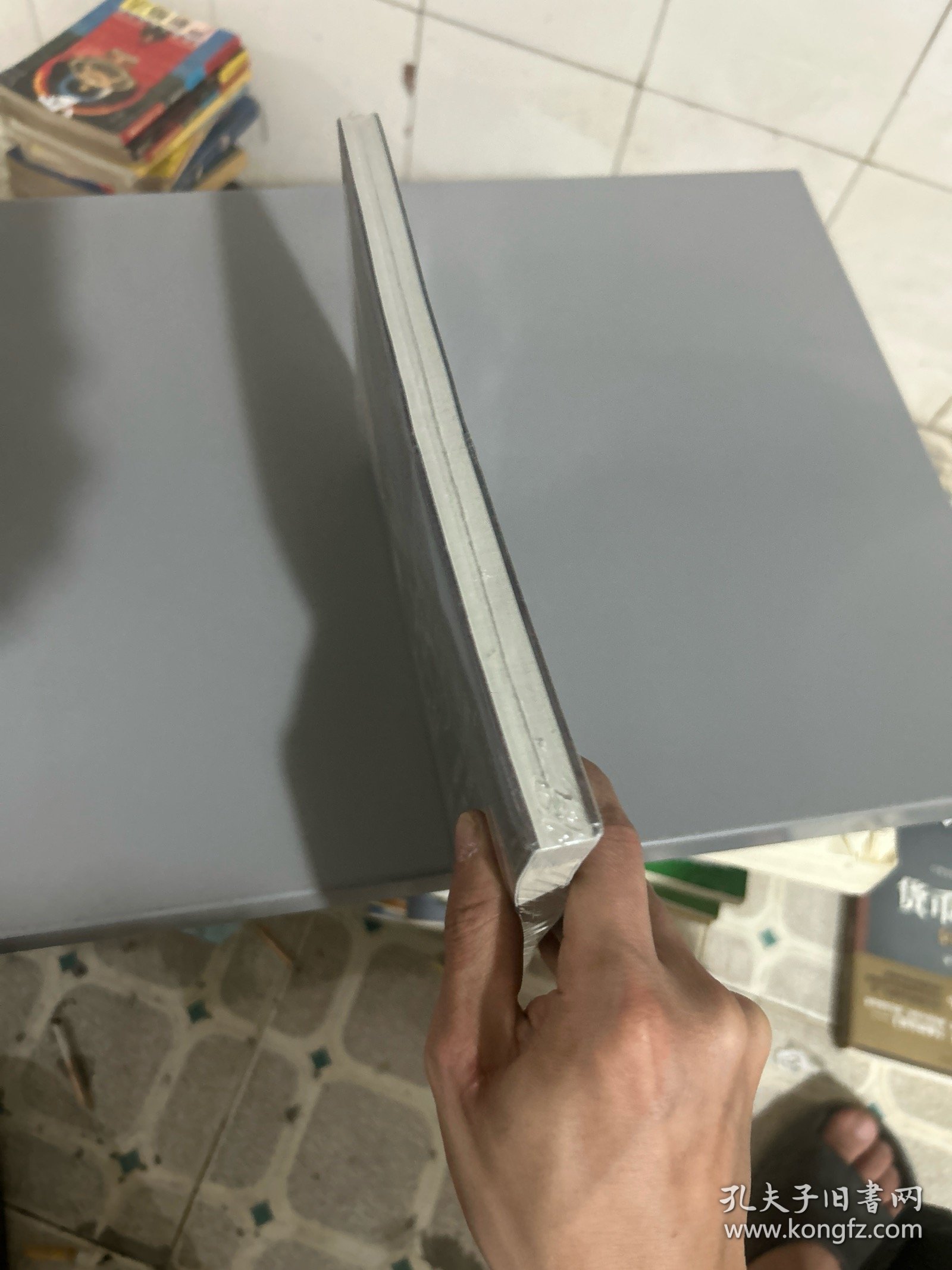生存者2：邪羽罗