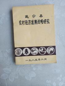 遂宁市经济社会发展战略研究