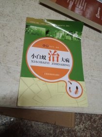 小白蚁治大病