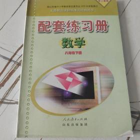 人教版八年级下册数学配套练习册