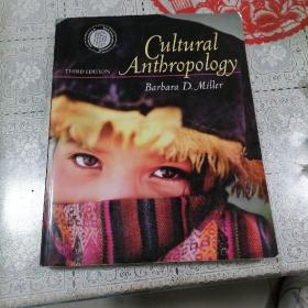 Cultural Anthropology（文化人类学）