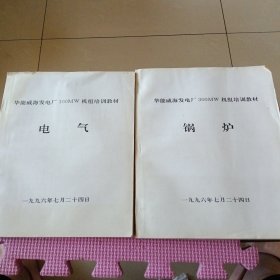 华能威海发电厂300 MW机组培训教材:锅炉、电气（两册合售）