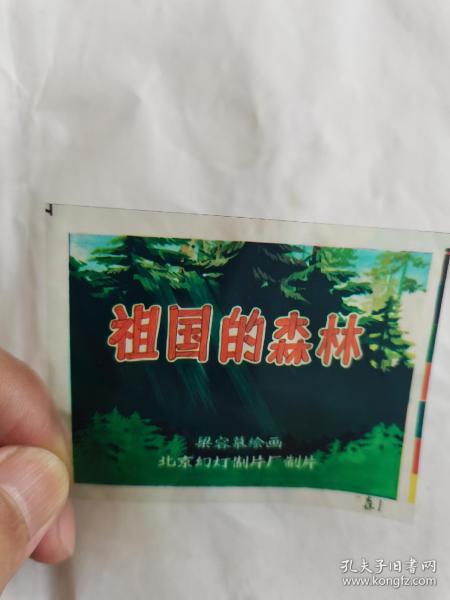彩色幻灯片《祖国的森林》共6片