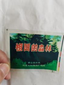 彩色幻灯片《祖国的森林》共6片