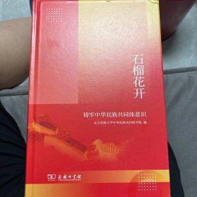 石榴花开：铸牢中华民族共同体意识