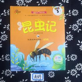 残暴粗鲁的剑客：胡蜂/法布尔昆虫记