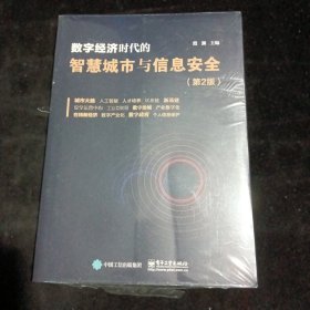 数字经济时代的智慧城市与信息安全（第2版）