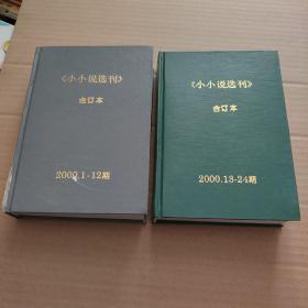 小小说选刊（2000年1~12、13~24期全）精装合订本