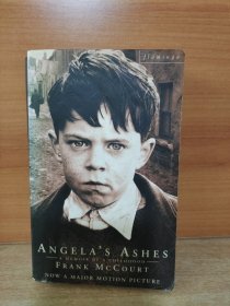 Angela's Ashes : A Memoir of a Childhood【英文原版】
