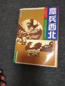 鏖兵西北一一一西北决战卷