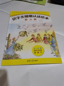 儿童识字关键期认读绘本：安徒生童话 野天鹅 双语版 5-6岁