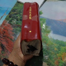 毛泽东选集（一卷本）